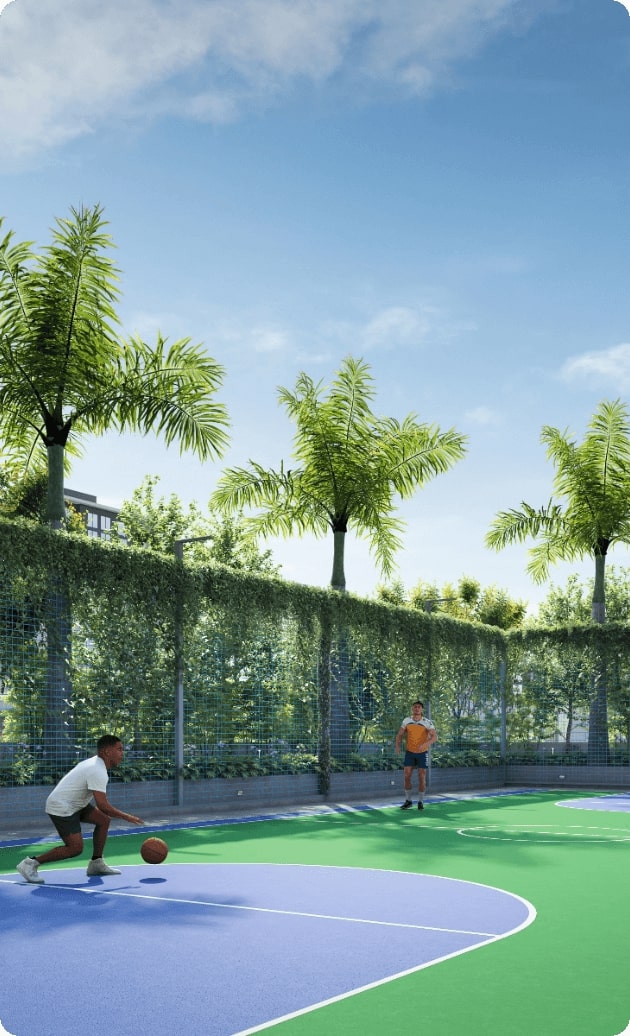 Mini Basketball Court